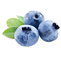 Blueberry (Fruits)
