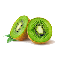 Kiwi (Fruits)