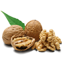 Walnut (Nuts)